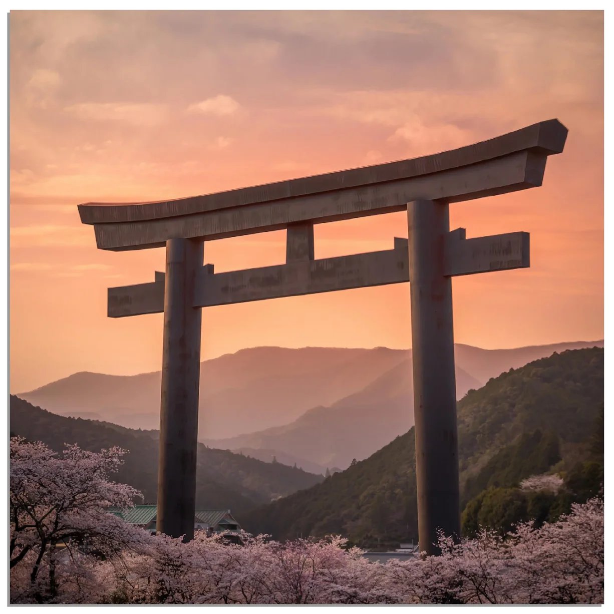 ⛩️ 니시오카 신궁 이미지 9